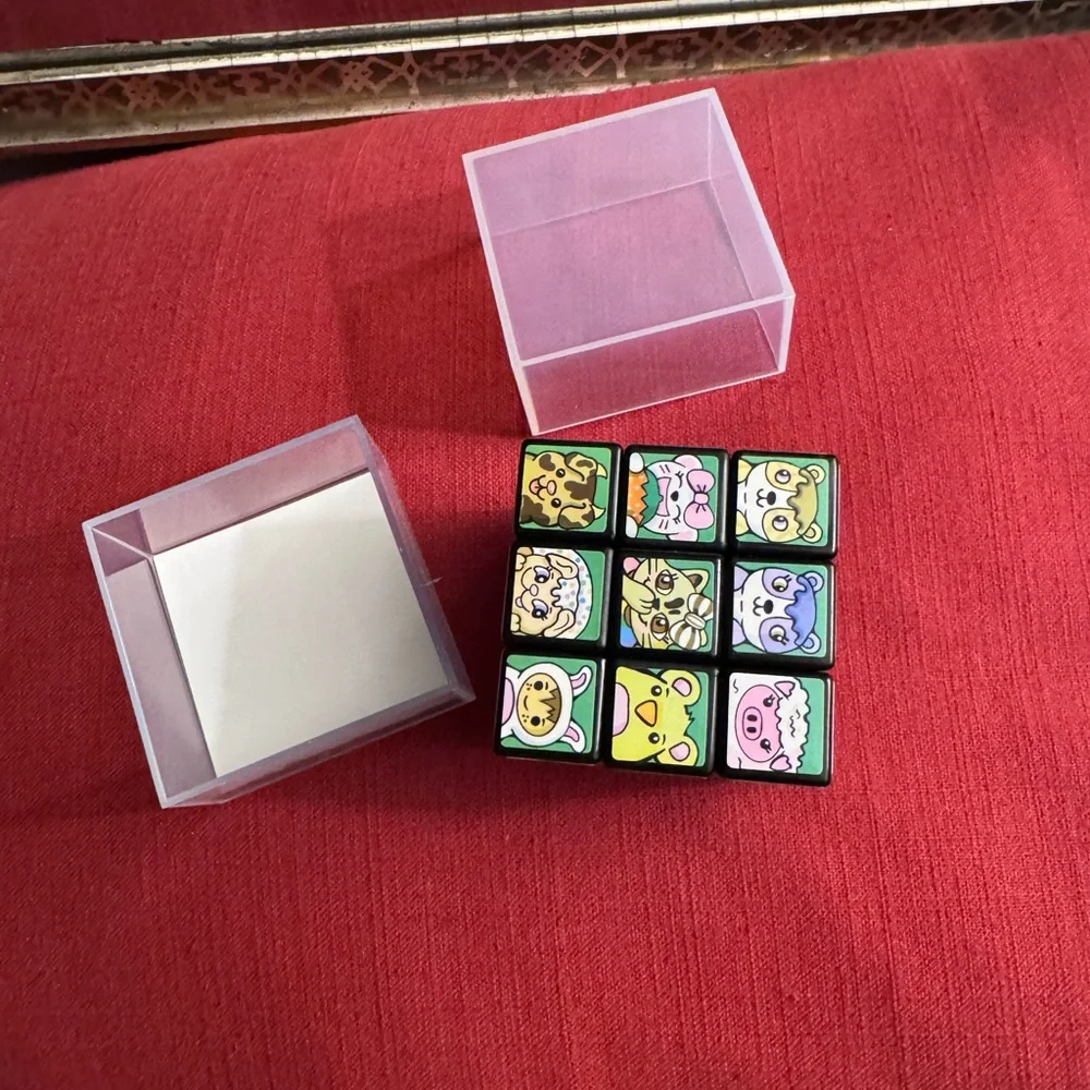 Rubix Cube reposhing this